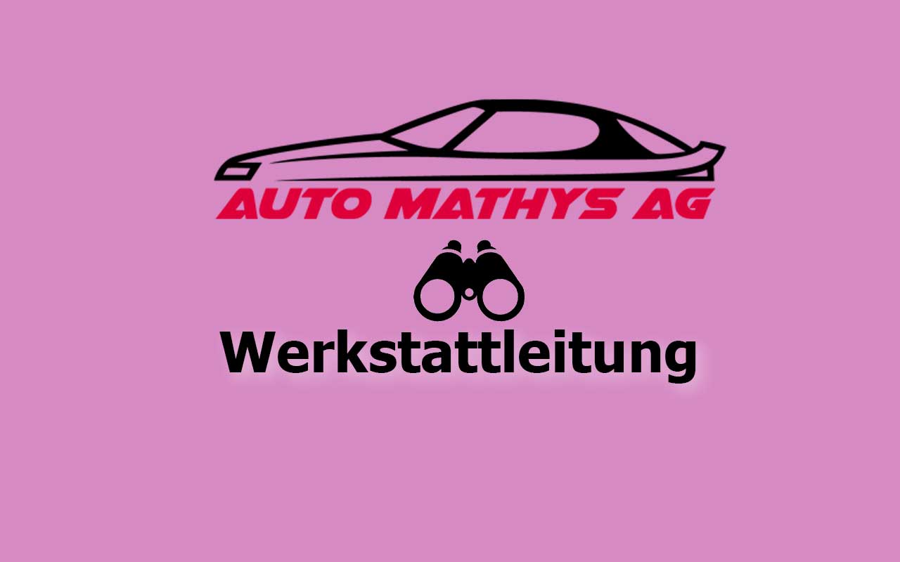 Gesucht Automobilmechatroniker oder Diagnostiker